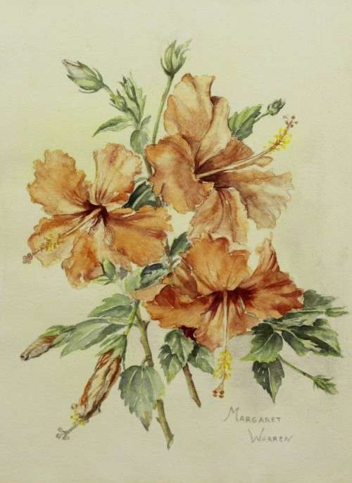 Margaret Warren - Still life flowers