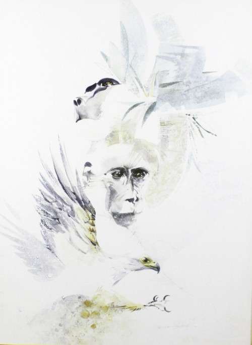 DE van Rensburg - Abstract monkey, baboon and eagle