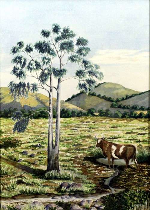 Robert Fyfe - Cow at the tree