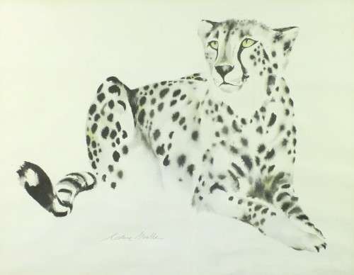 Clive Walker - Cheetah - Beautiful! - Low price, bid now!!