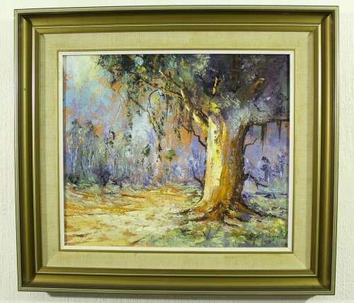 HG van Aswegen - Large tree in the forest