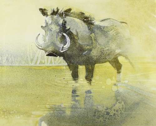 Warthog - Mixed media painting