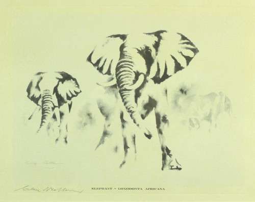 Clive Walker - Elephant - Beautiful! - Low price, bid now!!