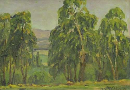 TS Wittrup - Gumtrees near JHB