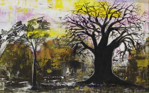 Tim Cooke - Baobab