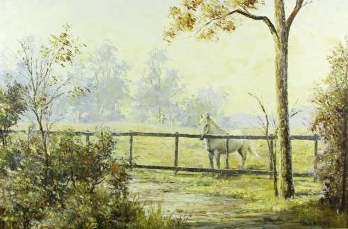 Riana Vorster - Horse in a field
