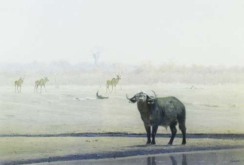 Kim Donaldson - Lone Buffalo