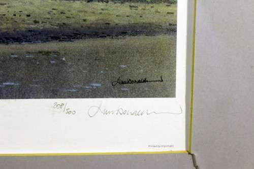 Kim Donaldson - Lone Buffalo