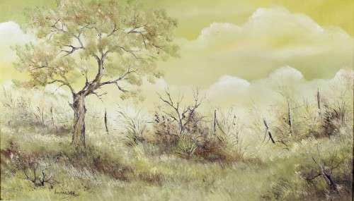 Ann Donaldson - Landscape