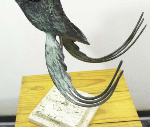 Dietmar Wiening - Angel fish