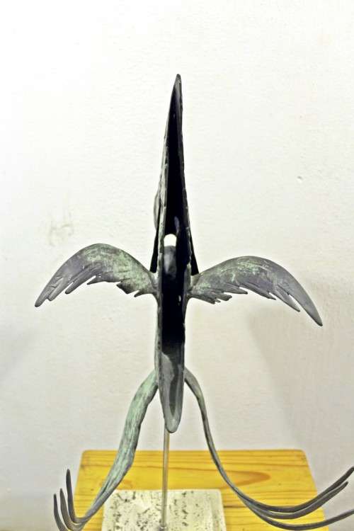 Dietmar Wiening - Angel fish