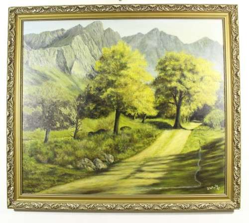 D Whyte - Dirt road and mountains