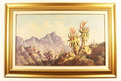C Finch - Mountain scene with aloe`s
