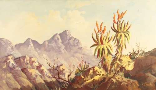 C Finch - Mountain scene with aloe`s