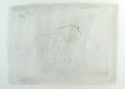R von Glelin - Lion