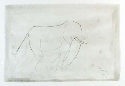 R von Glelin - Elephant