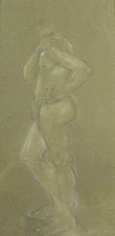 Male nude - A pastel drawing
