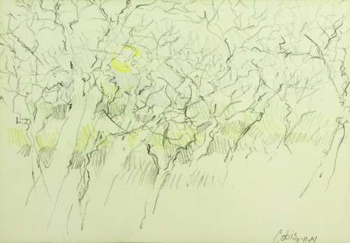 Cobis - abstract trees