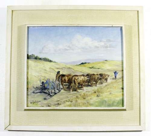 Willie Volmer - oxen