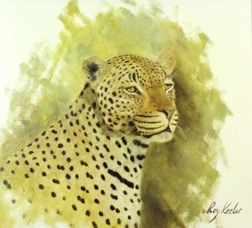 Roy Keeler - Leopard