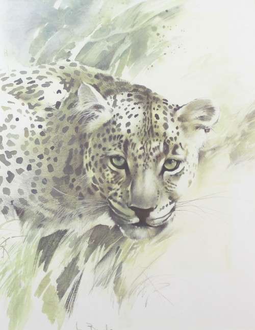 Joan Beuche - Leopard