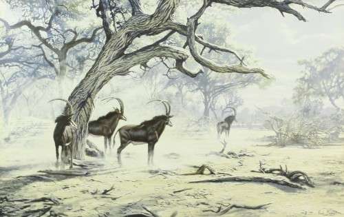Paul Augustinus - Sable