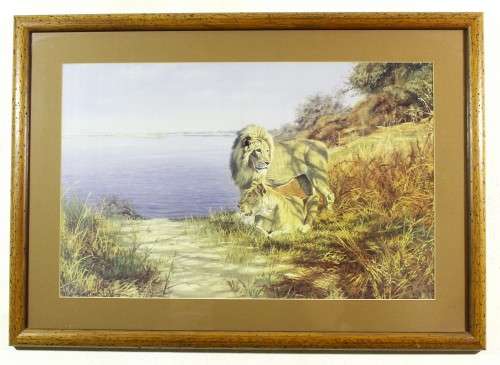 Paul Augustinus - Lions