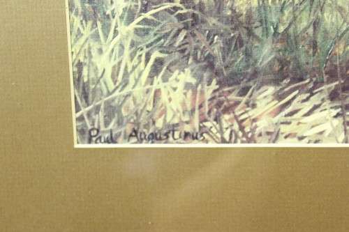 Paul Augustinus - Lions