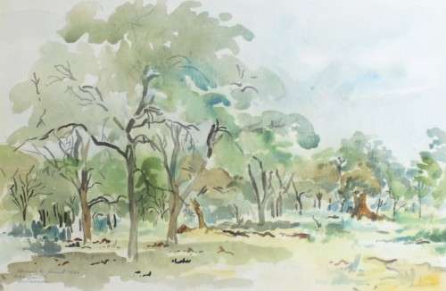 H Armant - Landscape