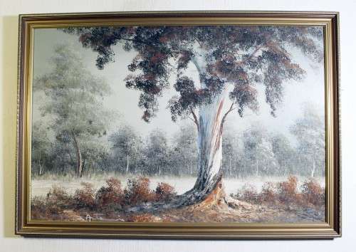 Antonio - Eucalyptus Tree