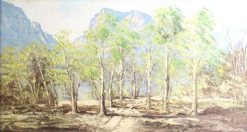 Don Benzien - Mountains and forest