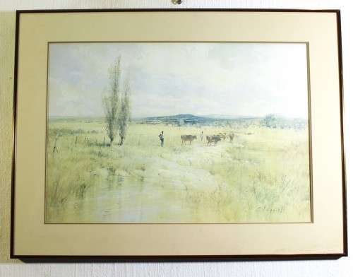 Chris Tugwell - Cattle in the field