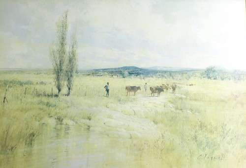 Chris Tugwell - Cattle in the field