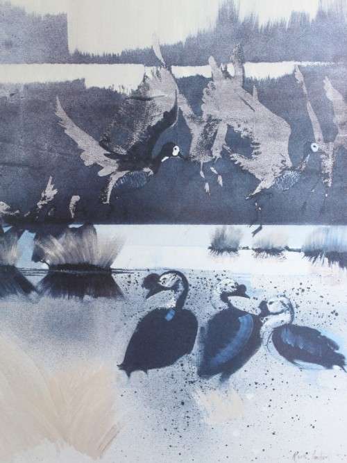 Keith Joubert - Limited edition Litho - Whitefaced ducs