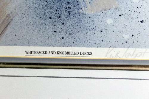 Keith Joubert - Limited edition Litho - Whitefaced ducs