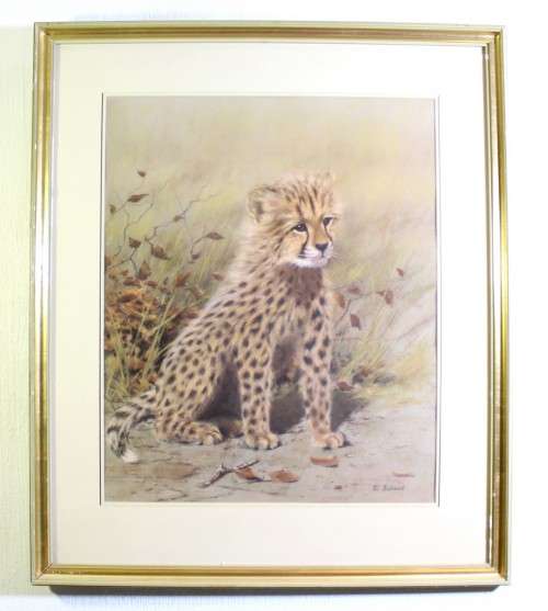 Vic Andrews - cheetah cub