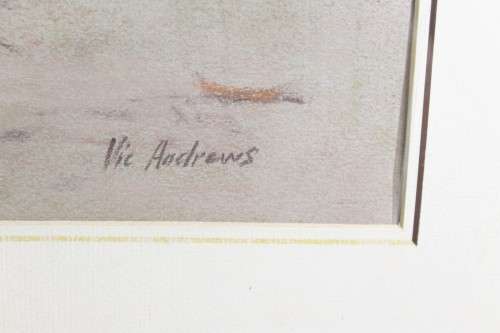 Vic Andrews - cheetah cub