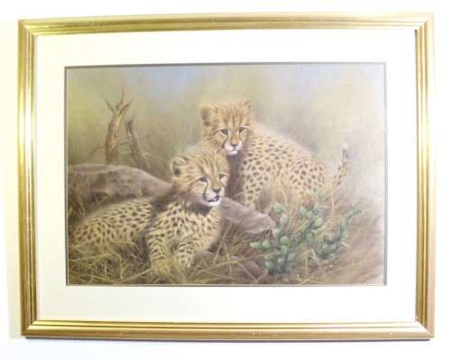 Vic Andrews - pair of cheetah cubs
