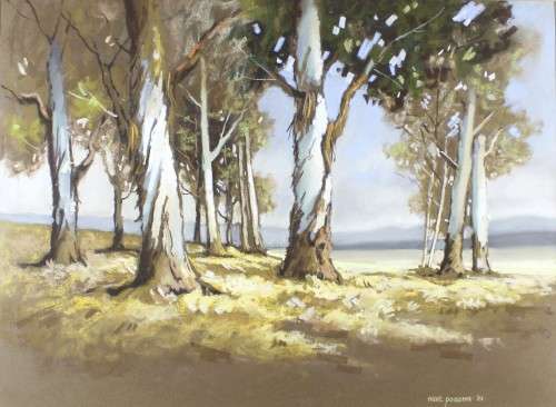 Marc Poisson - Blue gum trees