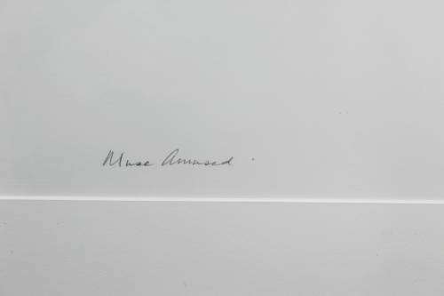 Judith Mason - Muse Amused - Investment art! - Bid now!