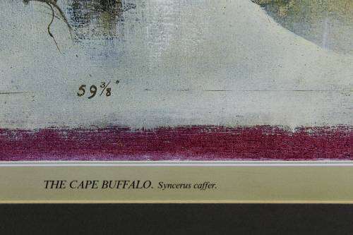 Keith Joubert - Limited edition lithoprint - The Cape Buffalo