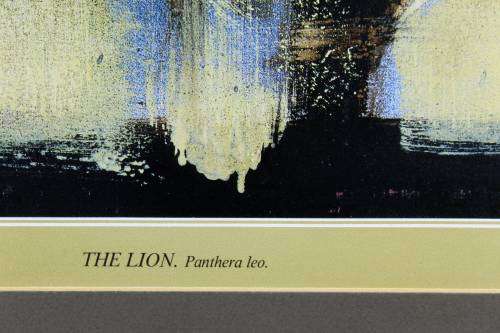 Keith Joubert - Limited edition lithoprint - The Lion