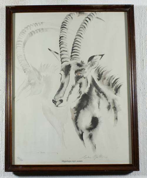 Clive Walker - Sable Antelope