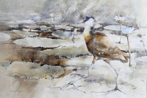 Barbara Siedle - Bird on a Pond
