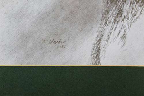 K Walker - Buck Profile