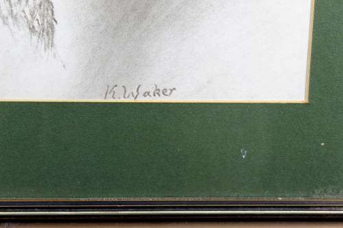 K Walker - Buck Profile
