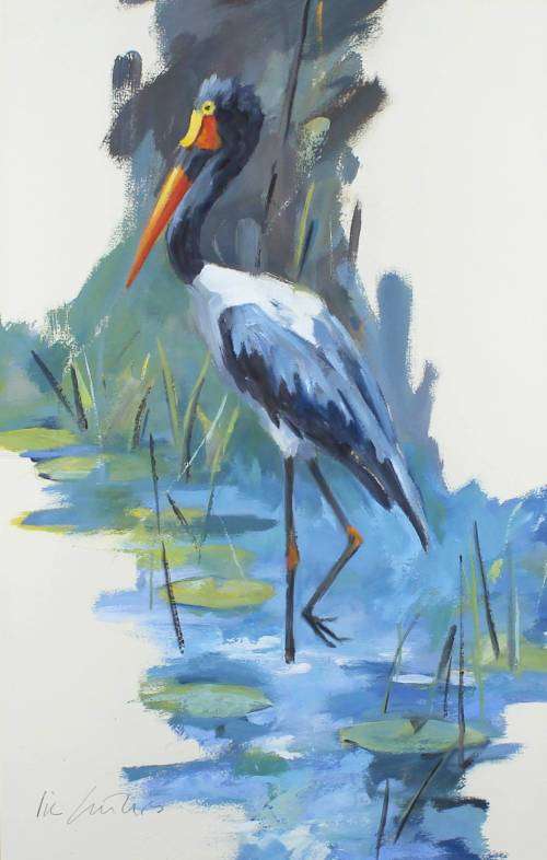 Vic Guhrs - Saddle-Billed Stork standing amongst waterlilies! - A treasure, bid now!! *Free courier!