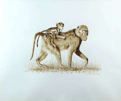 Martin Koch - Baboon and baby - Sepia