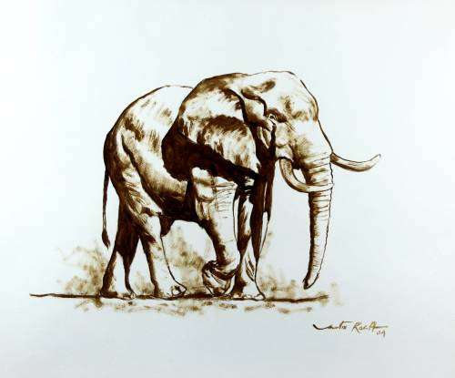 Martin Koch - Elephant - Sepia