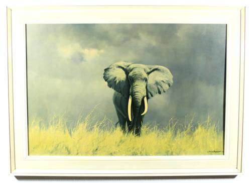 David Shepherd - Elephant